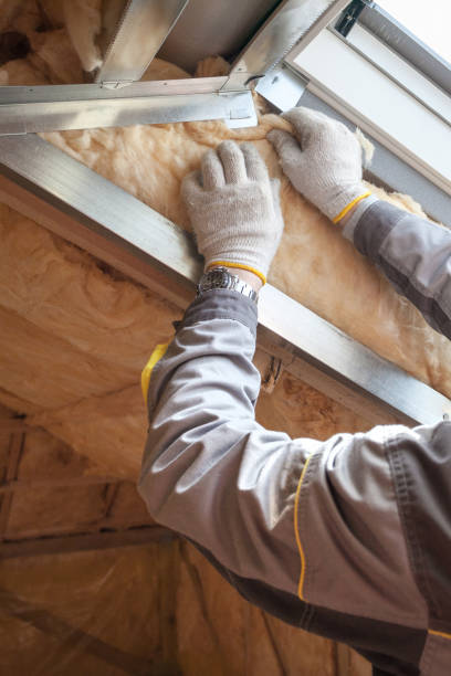 Best Wall Insulation Installation  in Norwood, NY